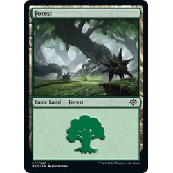 画像1: 【ENG】森/Forest[MTG_BRO_277L]