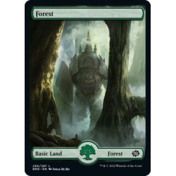 画像1: 【ENG】森/Forest[MTG_BRO_286L]