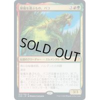 【JPN】秘儀を運ぶもの、パコ/Pako, Arcane Retriever[MTG_C20_013MR]