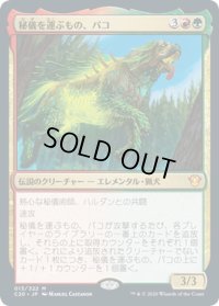 【JPN】秘儀を運ぶもの、パコ/Pako, Arcane Retriever[MTG_C20_013MR]