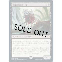 画像1: 【JPN】骨塚の巻きひげ菌/Boneyard Mycodrax[MTG_C20_040R]