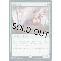 【JPN】林間の才獣/Glademuse[MTG_C20_060R]