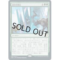 【JPN】選択的順応/Selective Adaptation[MTG_C20_065R]