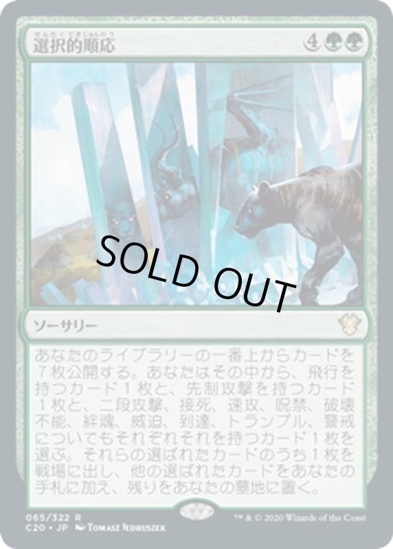 画像1: 【JPN】選択的順応/Selective Adaptation[MTG_C20_065R] (1)