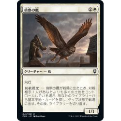 画像1: 【JPN】偵察の鷹/Scouting Hawk[MTG_CLB_041C]