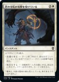 【JPN】君の寺院が攻撃を受けている/Your Temple Is Under Attack[MTG_CLB_052C]