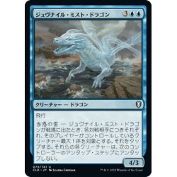 画像1: 【JPN】ジュヴナイル・ミスト・ドラゴン/Juvenile Mist Dragon[MTG_CLB_079U]