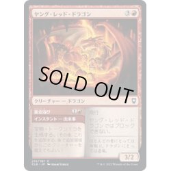 画像1: 【JPN】ヤング・レッド・ドラゴン/Young Red Dragon[MTG_CLB_210C]