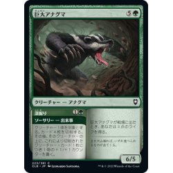 画像1: 【JPN】巨大アナグマ/Colossal Badger[MTG_CLB_223C]