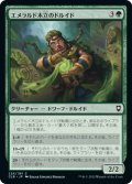 【JPN】エメラルド木立のドルイド/Druid of the Emerald Grove[MTG_CLB_226C]