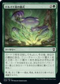 【JPN】ドルイド流の儀式/Druidic Ritual[MTG_CLB_227C]