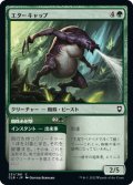 【JPN】エターキャップ/Ettercap[MTG_CLB_231C]