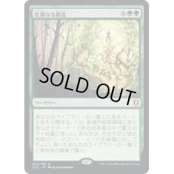 画像1: 【JPN】壮麗なる創造/Majestic Genesis[MTG_CLB_240M]