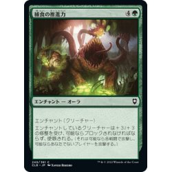 画像1: 【JPN】捕食の推進力/Predatory Impetus[MTG_CLB_249C]