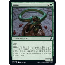 画像1: 【JPN】髑髏蛇/Skullwinder[MTG_CLB_256U]