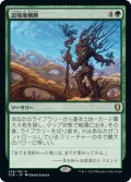 【JPN】辺境地横断/Traverse the Outlands[MTG_CLB_258R]