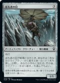 【JPN】巡礼者の目/Pilgrim's Eye[MTG_CLB_333C]