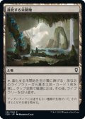 【JPN】進化する未開地/Evolving Wilds[MTG_CLB_352C]