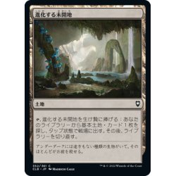 画像1: 【JPN】進化する未開地/Evolving Wilds[MTG_CLB_352C]