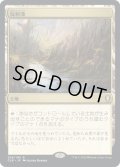 【JPN】反射池/Reflecting Pool[MTG_CLB_358R]