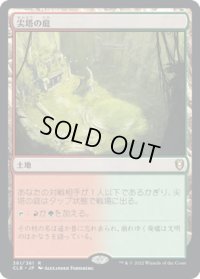 【JPN】★Foil★尖塔の庭/Spire Garden[MTG_CLB_361R]