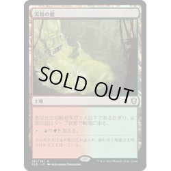 画像1: 【JPN】★Foil★尖塔の庭/Spire Garden[MTG_CLB_361R]