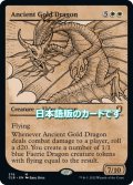 【JPN】エインシャント・ゴールド・ドラゴン/Ancient Gold Dragon[MTG_CLB_376M]