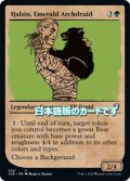 【JPN】エメラルドの大ドルイド、ハルシン/Halsin, Emerald Archdruid[MTG_CLB_408U]