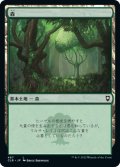 【JPN】森/Forest[MTG_CLB_467L]