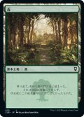 【JPN】森/Forest[MTG_CLB_470L]