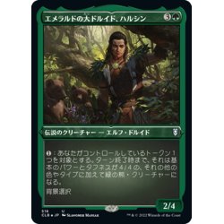 画像1: 【JPN】★エッチングFoil★エメラルドの大ドルイド、ハルシン/Halsin, Emerald Archdruid[MTG_CLB_516U]