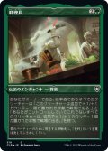 【JPN】★エッチングFoil★料理長/Master Chef[MTG_CLB_519C]