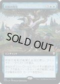 【JPN】同族の発見/Kindred Discovery[MTG_CLB_565R]