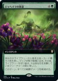 【JPN】★Foil★ジャヘイラの休息/Jaheira's Respite[MTG_CLB_589R]