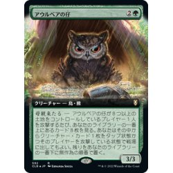 画像1: 【JPN】★Foil★アウルベアの仔/Owlbear Cub[MTG_CLB_592R]