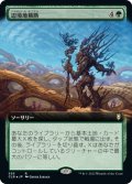 【JPN】★Foil★辺境地横断/Traverse the Outlands[MTG_CLB_593R]