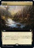 【JPN】反射池/Reflecting Pool[MTG_CLB_604R]