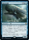 【JPN】追われる鯨/Pursued Whale[MTG_CLB_732R]