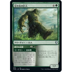 画像1: 【JPN】豆の木の巨人/Beanstalk Giant[MTG_CLB_819U]