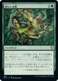 【JPN】内にいる獣/Beast Within[MTG_CLB_820U]