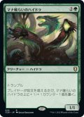 【JPN】マナ喰らいのハイドラ/Managorger Hydra[MTG_CLB_828R]