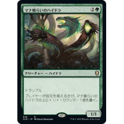 画像1: 【JPN】マナ喰らいのハイドラ/Managorger Hydra[MTG_CLB_828R]