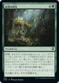 【JPN】自然の再生/Natural Reclamation[MTG_CLB_829C]