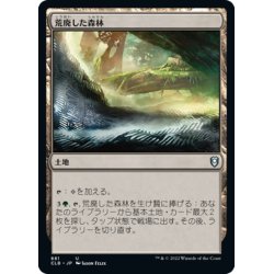 画像1: 【JPN】荒廃した森林/Blighted Woodland[MTG_CLB_881U]