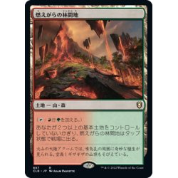 画像1: 【JPN】燃えがらの林間地/Cinder Glade[MTG_CLB_887R]