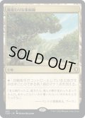 【JPN】風変わりな果樹園/Exotic Orchard[MTG_CLB_893R]