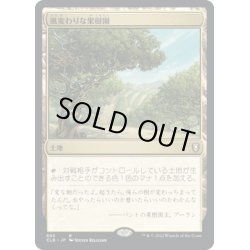 画像1: 【JPN】風変わりな果樹園/Exotic Orchard[MTG_CLB_893R]