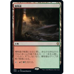 画像1: 【JPN】獲物道/Game Trail[MTG_CLB_894R]