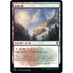 画像1: 【JPN】高地の森/Highland Forest[MTG_CLB_896C]