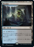 【JPN】窪み渓谷/Sunken Hollow[MTG_CLB_918R]